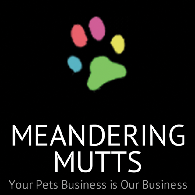 Meandering Mutts